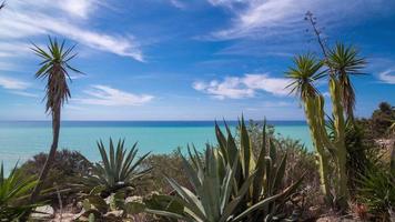 espaço de tempo dentro Sicília do cacto e selvagem arbustos com a Mediterrâneo mar dentro a fundo video