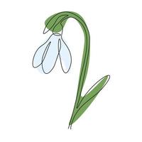 Spring snowdrop flower in continuous line art style.Gentle forest first spring flower. For design, decoration and printing vector