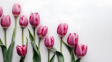 Pink Tulips on White Flat Lay Background photo