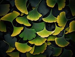 Ginkgo biloba green leaves background created with technology photo