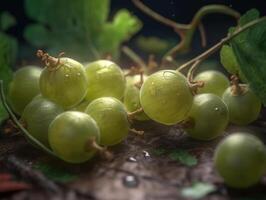 Beautiful organic background of freshly picked gooseberry created with technology photo