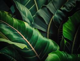 resumen verde tropical plátano y monstera hojas antecedentes creado con generativo ai tecnología foto