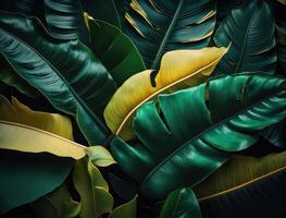 resumen verde tropical plátano y monstera hojas antecedentes creado con generativo ai tecnología foto