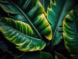 resumen verde tropical plátano y monstera hojas antecedentes creado con generativo ai tecnología foto