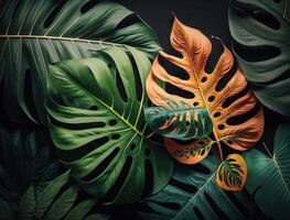 Abstract green Tropical Banana and Monstera Leaves background created with technology photo