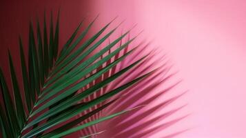 Tropical leaves on pink background. photo