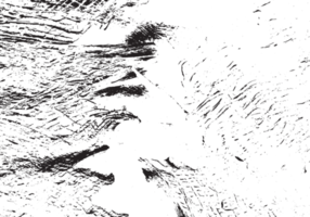 rustik grunge textur med spannmål och fläckar. abstrakt ljud bakgrund. png grafisk illustration med transparent bakgrund.