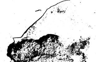 Rustic grunge texture with grain and stains. Abstract noise background. PNG graphic illustration with transparent background.