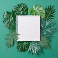 Tropical natural frame. Illustration photo