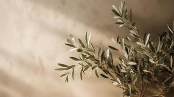 Olive tree branch on beige background. Illustration photo