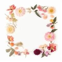 Natural flower frame. Illustration photo