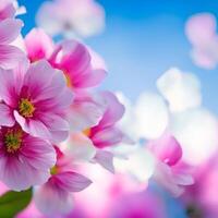 Sakura blossom. A hyper realistic colorful sakura flowers. Created using photo