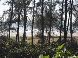 Photo of a sunny day view of a beautiful tropical beach and sea on a sunny day in Cox's Bazar, Bangladesh. Travel and Vacation.