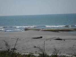 Photo of natural landscape view of a beautiful winter beach and sea on a sunny day in Cox's Bazar, Bangladesh. Travel and Vacation.