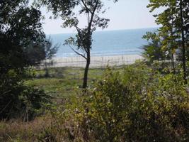 Photo of a sunny day view of a beautiful tropical beach and sea on a sunny day in Cox's Bazar, Bangladesh. Travel and Vacation.