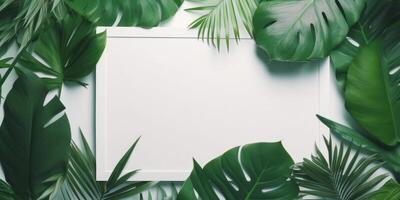 Tropical natural frame. Illustration photo