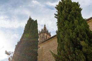 stone tower gothic church among trees photo