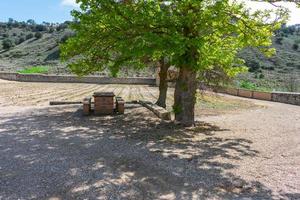 tree shading stone table in the field photo