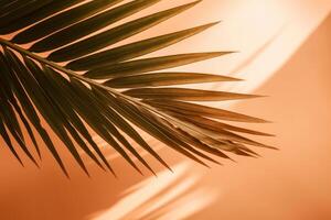 Palm tree sunny background. Illustration photo