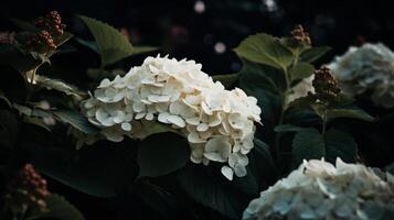 Hydrangea flower background. Illustration AI Generative photo