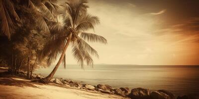 Summer tropical background. Illustration photo