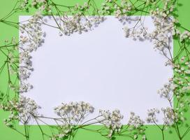 Empty white sheet of paper and gypsophilia flowers on a green background, space for an inscription photo