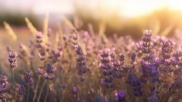 lavanda campo. ilustración ai generativo foto