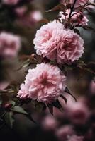 Pink flowers on tree. Illustration photo