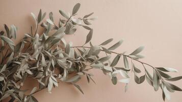 Olive tree branch on beige background. Illustration photo