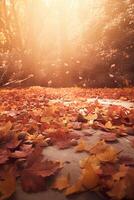 Magic Autumn Fall Background. Illustration photo