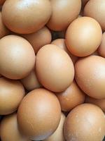 a close up of heap of chicken eggs. For background or wallpaper photo