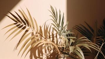 Palm leaves background with shadow. Illustration photo