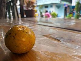 A close up of jeruk medan or medan orange fruit photo