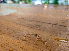 A close up of a wet brown table photo