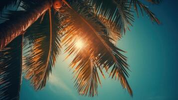 Palm tree sunny background. Illustration photo