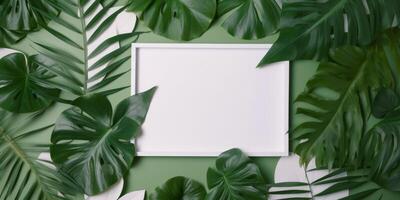 Tropical natural frame. Illustration photo