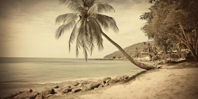 Summer tropical background. Illustration photo