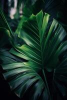 Tropical palm leaves background. Illustration photo