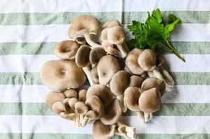 Fresh grey oyster mushroom on table background, fresh raw oyster mushroom for cooking food photo