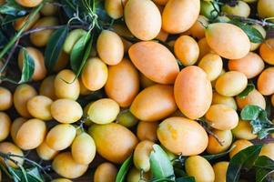 Marian plum fruit and leaves in plate on wooden background, tropical fruit Name in Thailand Sweet Yellow Marian Plum Maprang Plango or Mayong chid - top view photo