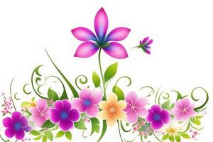 White background with purple flowers forming half frame spring for Mother's Day photo