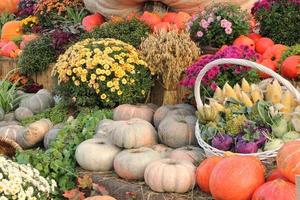 calabaza orgánica y vegetales en canasta de mimbre en feria agrícola. cosechando el concepto de tiempo de otoño. jardín otoño planta natural. decoración de halloween de acción de gracias. fondo rural de la granja festiva. comida vegana. foto