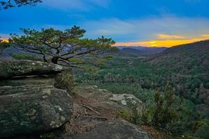 punto de vista en el bosque durante puesta de sol foto