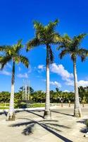 Tropical natural palm tree palms blue sky in Mexico. photo