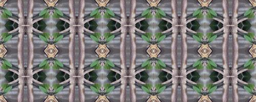 Seamless ornament. Plant elements. Modern style. Floral ornament. Seamless background. Seamless texture. Abstract background. Decoration. Creative background. Duplicate elements. Abstract texture photo