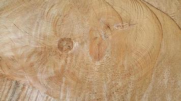 Wood texture. Cross section of a tree. Vintage wood background with cracks photo