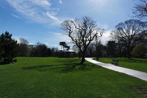 Low Angle View of Local Public Park and Beautiful Trees a Clear and Cold Day of 22-March-2023 at Luton Town of England UK. photo