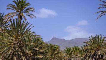 un lapso de tiempo de el roque nublo en gran Canarias, canario islas video