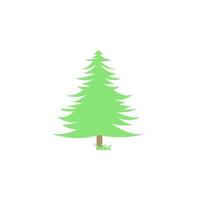 spruce colored vector icon