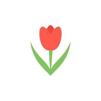 tulip colored vector icon